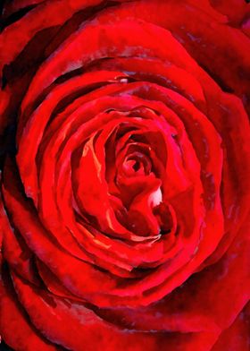 Red rose painting