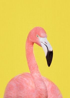Flamingo in Yellow