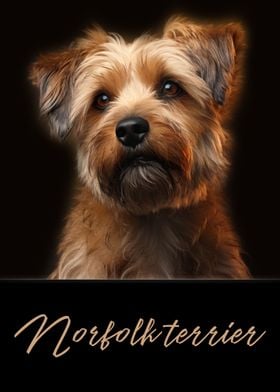 Norfolk Terrier Dog