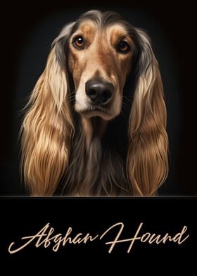 Afghan Hound Dog