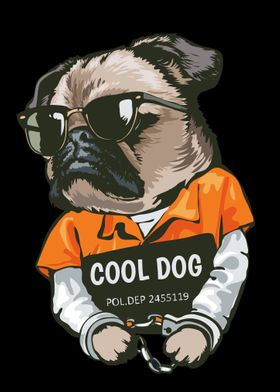 Cool Dogs