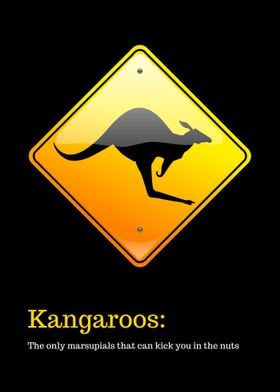 Funny Kangaroo Sign