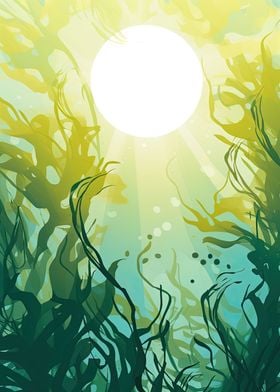 Kelp Forest