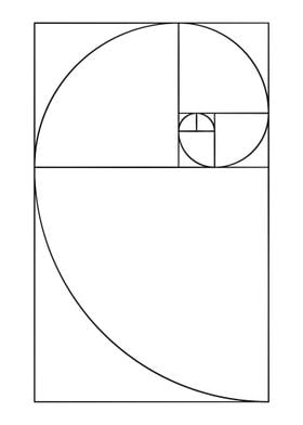 Fibonacci spiral poster 