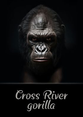 Cross River Gorilla