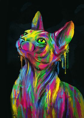 Cat with Rainbow Colors