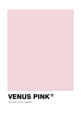 VENUS PINK