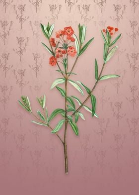 Vintage Bog Laurel Bloom