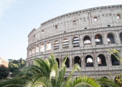 Colosseum in Rome Palm 3