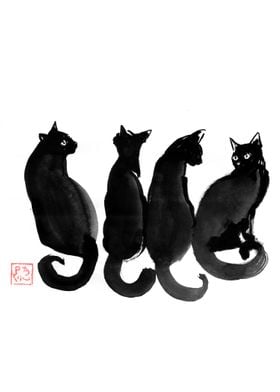 4 black cats