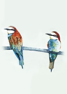 Watercolor Tropical Birds