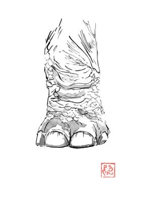 elephant foot