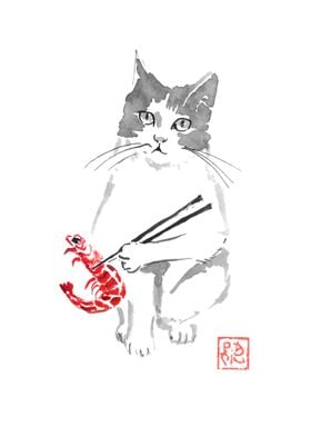 cat and shrimp