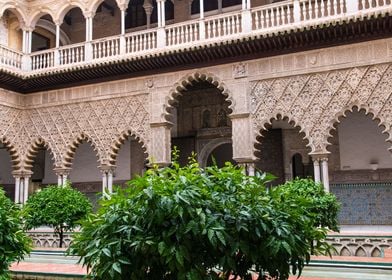 Patio de Doncellas 2