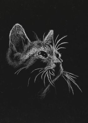 Cat Art