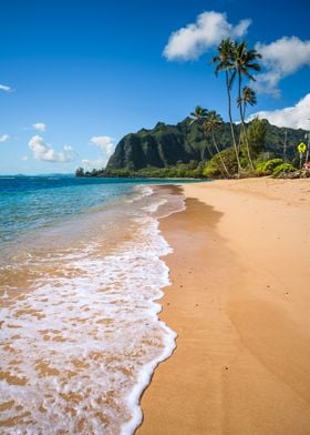 Tropical beach Oahu Hawaii