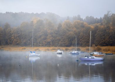 Misty morning on the lake