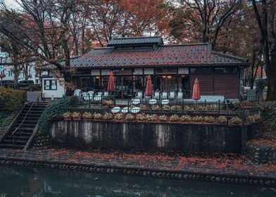 Autumn Canal in Japan