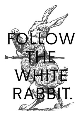 Follow the White Rabbit