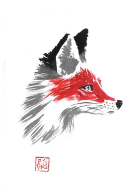 red fox