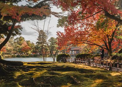 Japanese Garden in Autumn