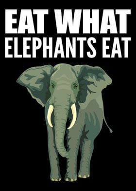 Elephants Eat Animal Advoc