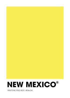 New Mexico