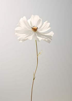 Single Flower