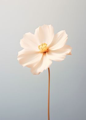 Single Flower