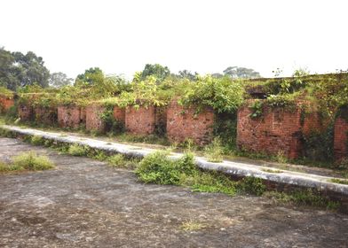 Ruins of oldest university