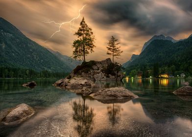 green trees on brown rock