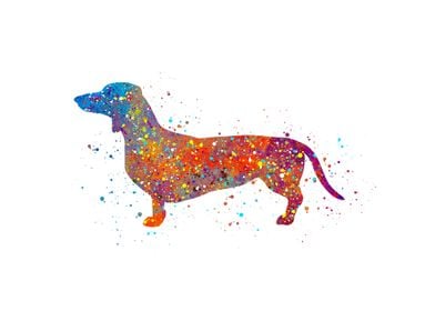 Watercolor Dachshund