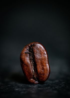 Brown Seed