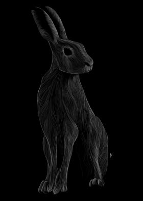 013 Rabbit