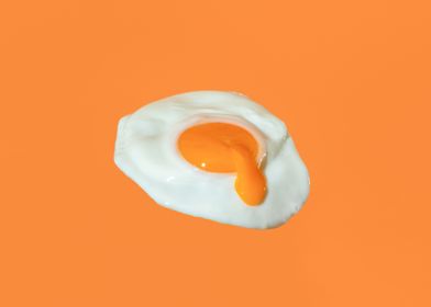 Fried egg flying