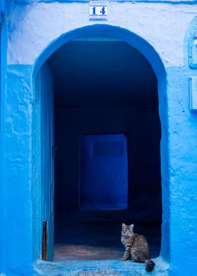 Cat at the door Morocco