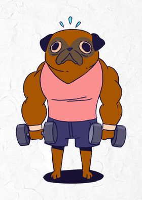 Muscular Pug
