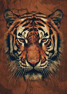 Minimalist Tiger Portrait