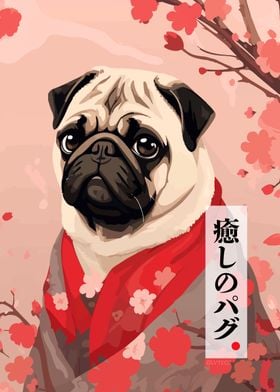 Funny Pug in Kimono