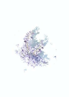 Purple and Gray Floral