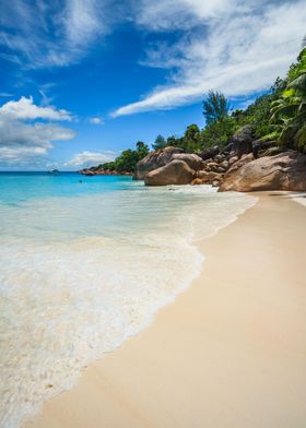 Sandy tropical beach