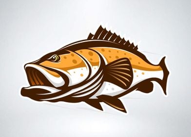 Grouper Fish Illustration