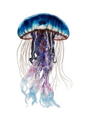 Cute Jellyfish Watercolor