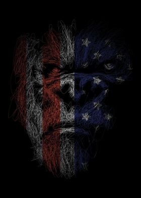 King kong flag 