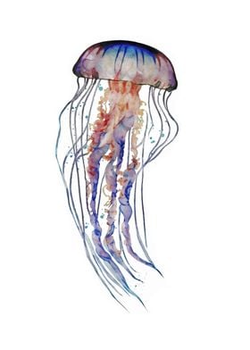 Cute Jellyfish Watercolor