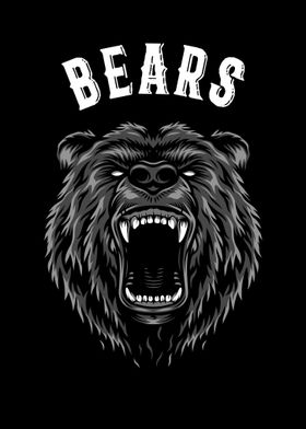 Bears