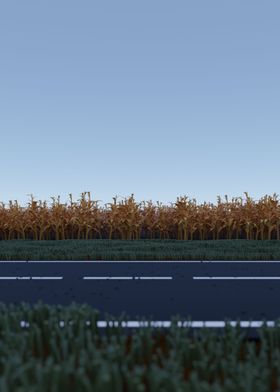 A Field of Corn