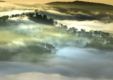 Mountain covered with fog