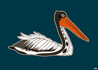 Koori Pelican