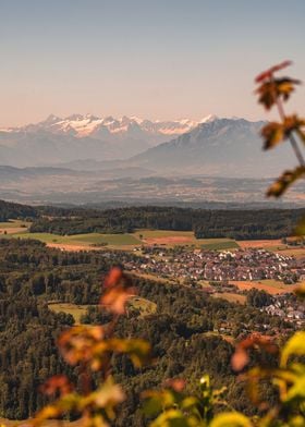 Swiss Landscape